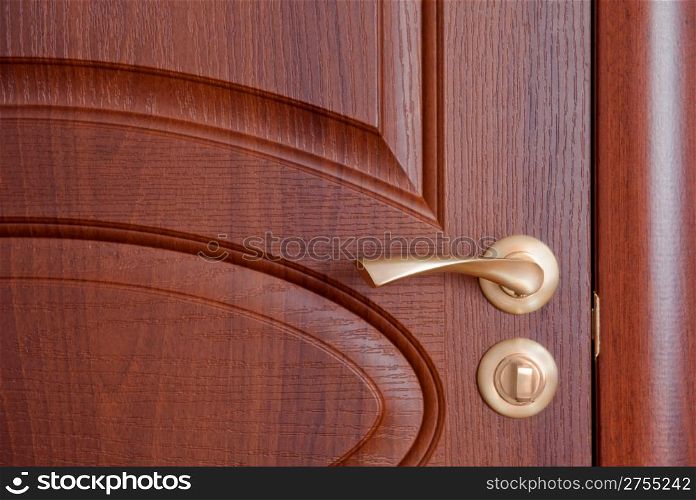 The door handle. A wooden door, brass handles.