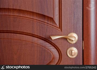 The door handle. A wooden door, brass handles.