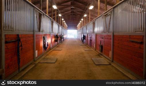 The door shows outside from the horse stalls equestrain stable