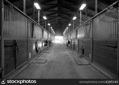 The door shows outside from the horse stalls equestrain stable