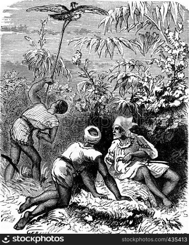The dramas of India. In the thick tall grass, three Indians, vintage engraved illustration. Journal des Voyages, Travel Journal, (1879-80).