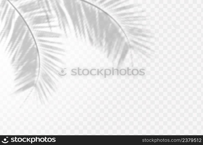 The effect of overlaying shadows. Natural light layout.Realistic shadow tropical leaves and branches on transparent checkered background.. Realistic shadow tropical leaves and branches on transparent checkered background. The effect of overlaying shadows. Natural light layout.