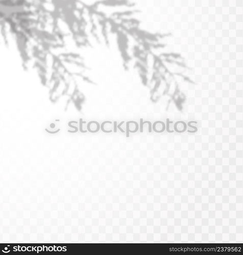 The effect of overlaying shadows. Natural light layout.Realistic shadow of tropical leaves or branches on transparent checkered background.. Realistic shadow of tropical leaves or branches on transparent checkered background. The effect of overlaying shadows. Natural light layout.