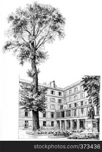 The elm and honor of the School of the Deaf and Dumb court, vintage engraved illustration. Paris - Auguste VITU ? 1890.