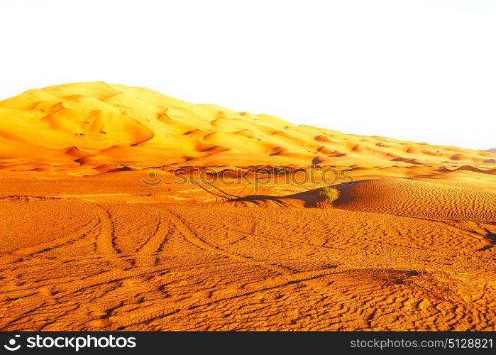 the empty quarter and outdoor sand dune in oman old desert rub al khali