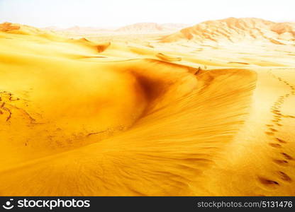 the empty quarter and outdoor sand dune in oman old desert rub al khali