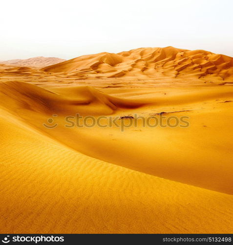 the empty quarter and outdoor sand dune in oman old desert rub al khali