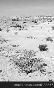 the empty quarter and outdoor sand dune in oman old desert rub al khali