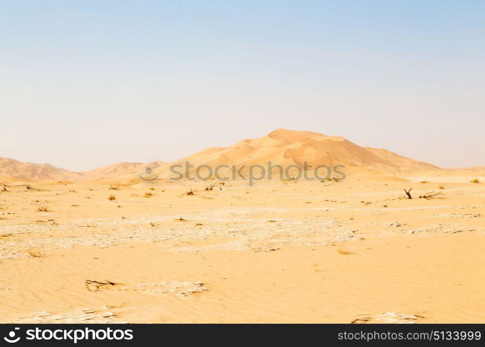 the empty quarter and outdoor sand dune in oman old desert rub al khali