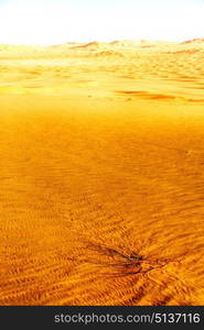 the empty quarter and outdoor sand dune in oman old desert rub al khali