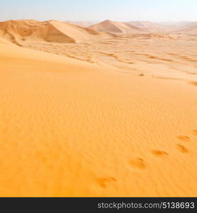 the empty quarter and outdoor sand dune in oman old desert rub al khali