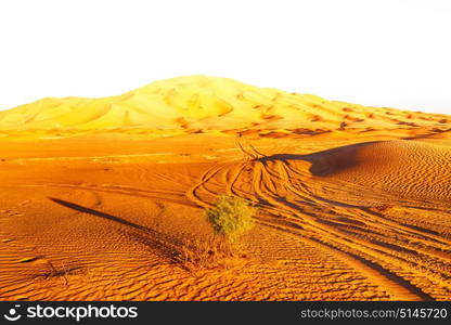 the empty quarter and outdoor sand dune in oman old desert rub al khali