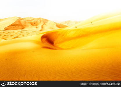 the empty quarter and outdoor sand dune in oman old desert rub al khali