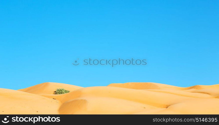 the empty quarter and outdoor sand dune in oman old desert rub al khali