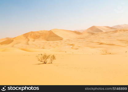 the empty quarter and outdoor sand dune in oman old desert rub al khali