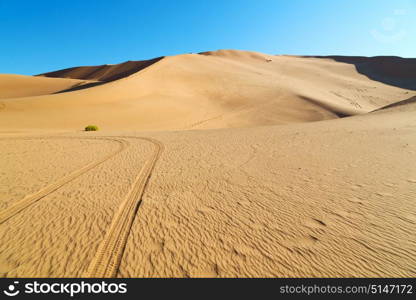 the empty quarter and outdoor sand dune in oman old desert rub al khali