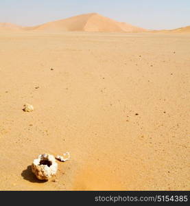 the empty quarter and outdoor sand dune in oman old desert rub al khali