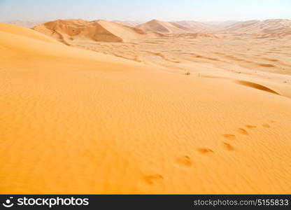 the empty quarter and outdoor sand dune in oman old desert rub al khali