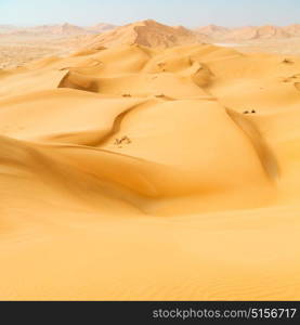 the empty quarter and outdoor sand dune in oman old desert rub al khali