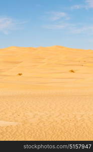 the empty quarter and outdoor sand dune in oman old desert rub al khali