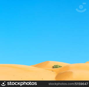 the empty quarter and outdoor sand dune in oman old desert rub al khali