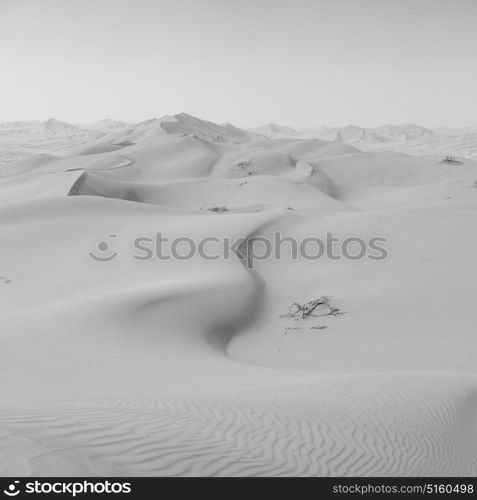 the empty quarter and outdoor sand dune in oman old desert rub al khali