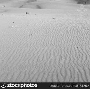 the empty quarter and outdoor sand dune in oman old desert rub al khali