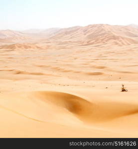 the empty quarter and outdoor sand dune in oman old desert rub al khali