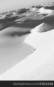 the empty quarter and outdoor sand dune in oman old desert rub al khali