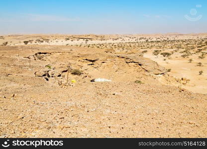 the empty quarter and outdoor sand dune in oman old desert rub al khali