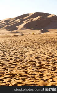 the empty quarter and outdoor sand dune in oman old desert rub al khali