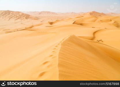 the empty quarter and outdoor sand dune in oman old desert rub al khali