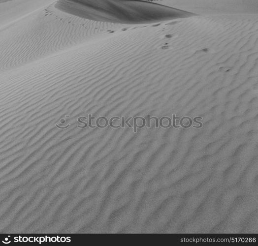 the empty quarter and outdoor sand dune in oman old desert rub al khali