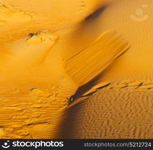 the empty quarter and outdoor sand dune in oman old desert rub al khali