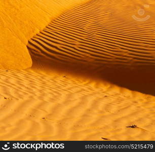 the empty quarter and outdoor sand dune in oman old desert rub al khali