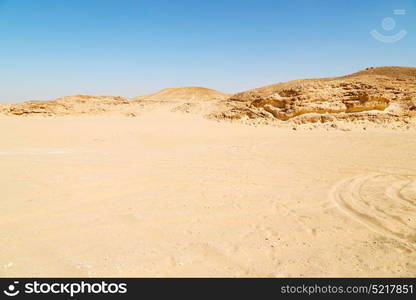 the empty quarter and outdoor sand dune in oman old desert rub al khali