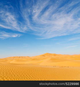 the empty quarter and outdoor sand dune in oman old desert rub al khali