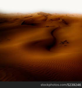 the empty quarter and outdoor sand dune in oman old desert rub al khali