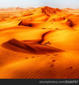 the empty quarter and outdoor sand dune in oman old desert rub al khali