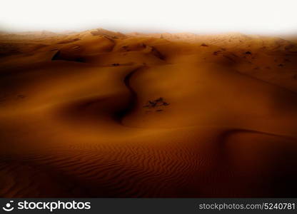 the empty quarter and outdoor sand dune in oman old desert rub al khali