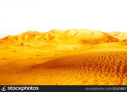 the empty quarter and outdoor sand dune in oman old desert rub al khali