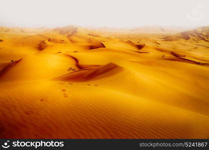 the empty quarter and outdoor sand dune in oman old desert rub al khali