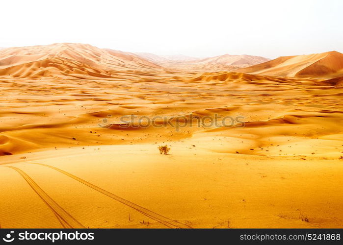 the empty quarter and outdoor sand dune in oman old desert rub al khali