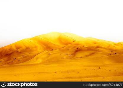 the empty quarter and outdoor sand dune in oman old desert rub al khali