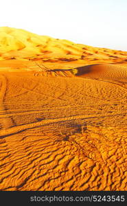 the empty quarter and outdoor sand dune in oman old desert rub al khali