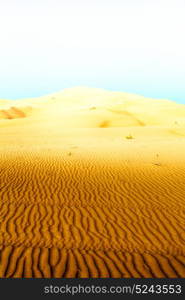 the empty quarter and outdoor sand dune in oman old desert rub al khali