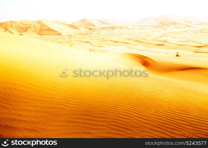 the empty quarter and outdoor sand dune in oman old desert rub al khali