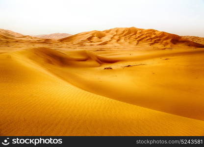 the empty quarter and outdoor sand dune in oman old desert rub al khali