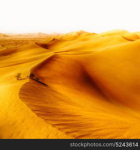 the empty quarter and outdoor sand dune in oman old desert rub al khali