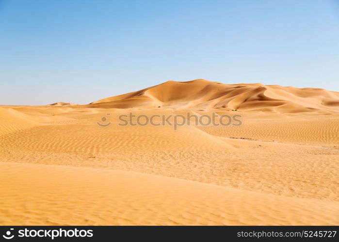 the empty quarter and outdoor sand dune in oman old desert rub al khali